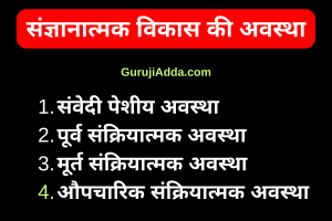 पियाजे के संज्ञानात्मक विकास के सिद्धांत