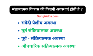 संज्ञानात्मक विकास की कितनी अवस्थाएं होती है